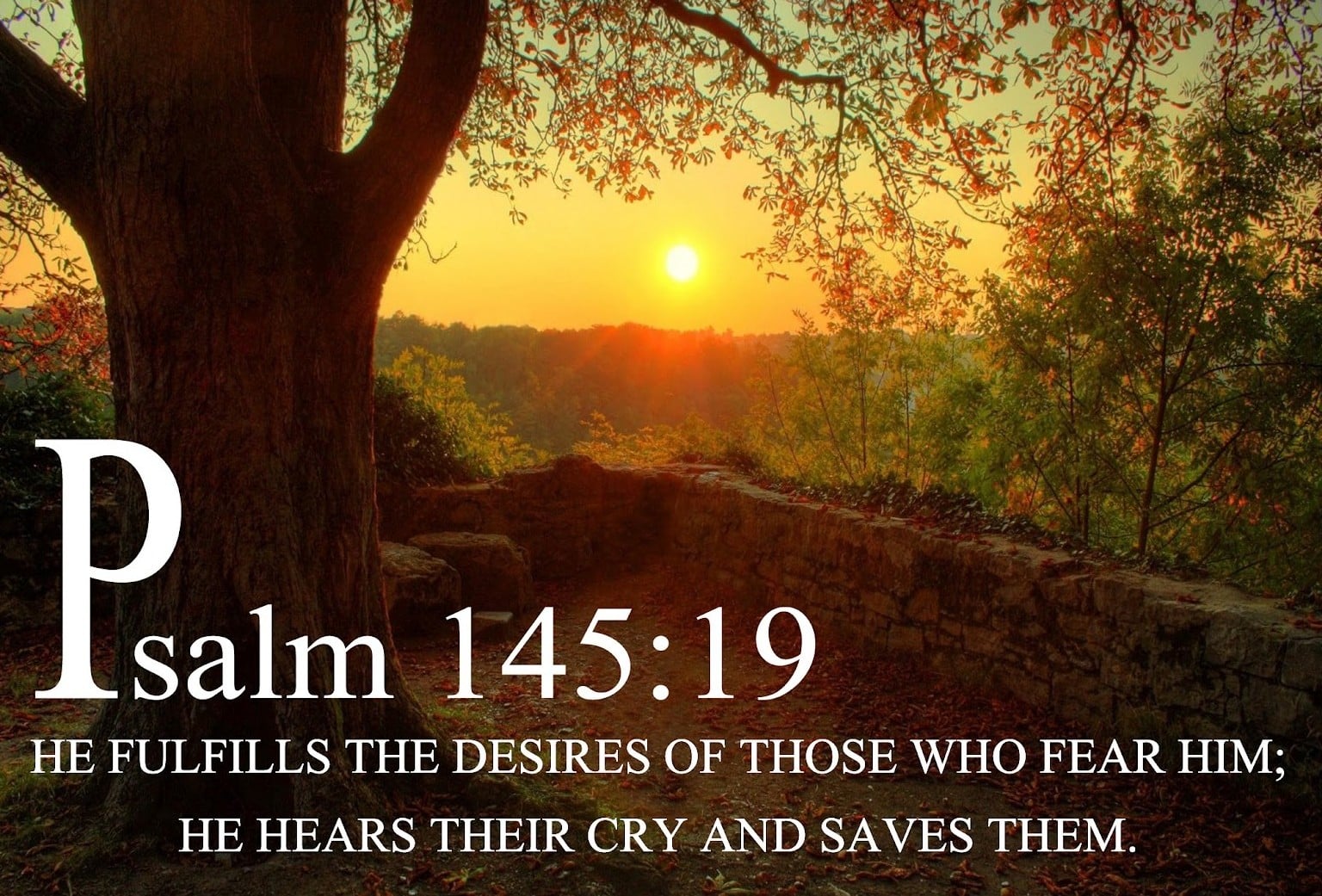 Psalm 145:19